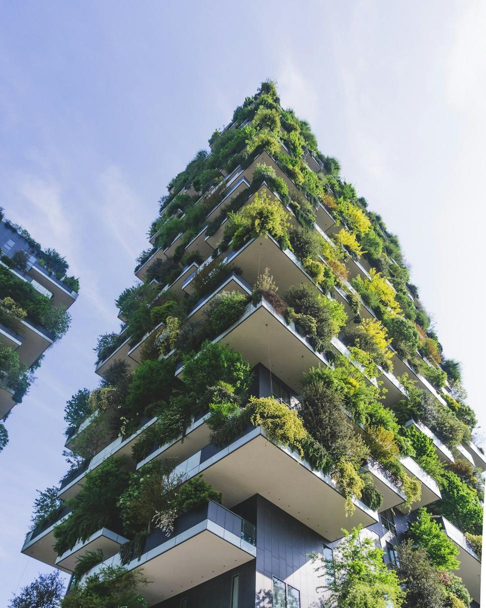 Sustainable consulting
